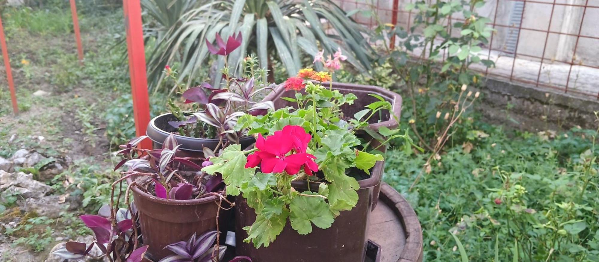 Julija Guest House Ohri Dış mekan fotoğraf